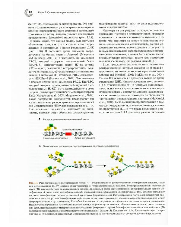 Эпигенетика. 2-е изд