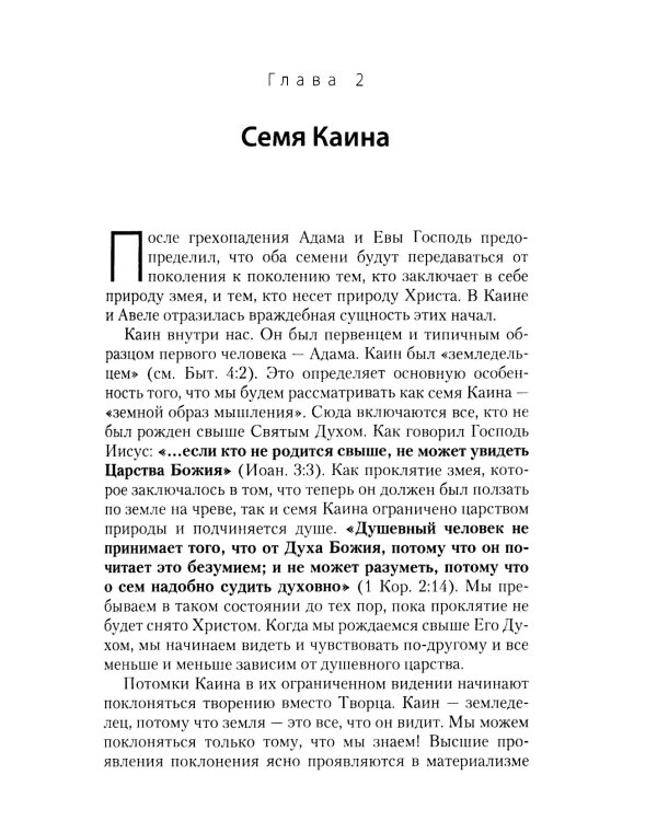 Два дерева в саду