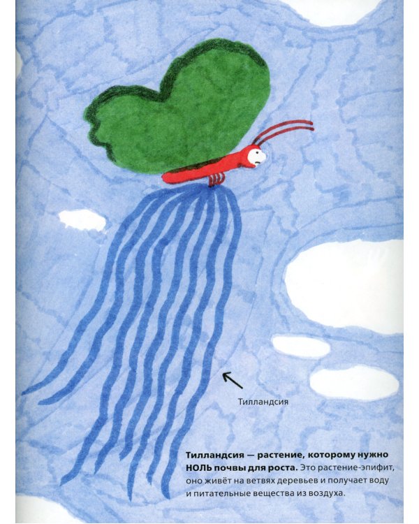 У осьминога ноль костей: книга-считалка о нашем удивительном мире