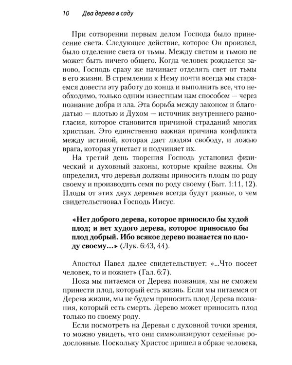 Два дерева в саду