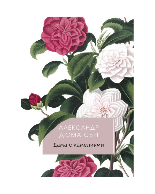 Дама с камелиями