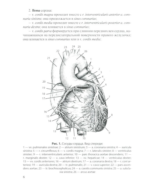 Сосуды и нервы внутренних органов: Учебное пособие. 11-е изд., перераб. и доп