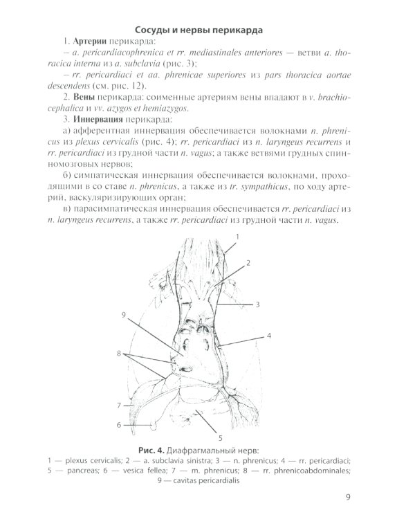 Сосуды и нервы внутренних органов: Учебное пособие. 11-е изд., перераб. и доп