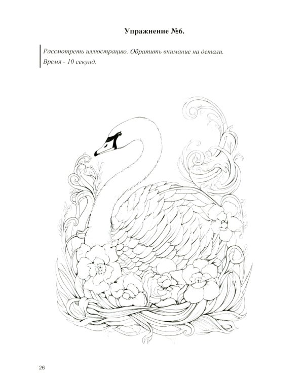 Концентрация, распределение, переключаемость и устойчивость внимания. Рабочая тетрадь для возраста от 16 лет до… нет предела