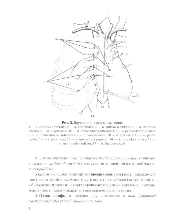Сосуды и нервы внутренних органов: Учебное пособие. 11-е изд., перераб. и доп