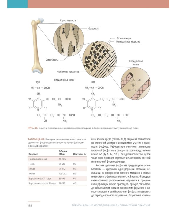 Гормональные исследования в клинической практике. Руководство