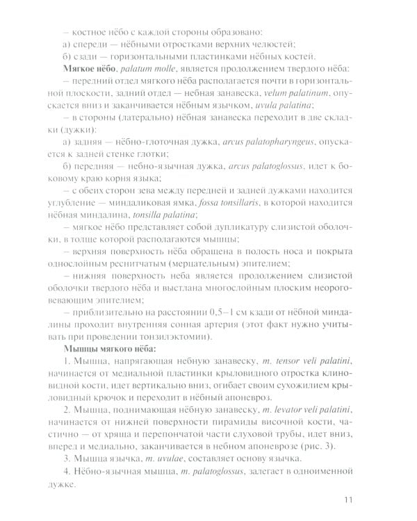 Функциональная анатомия органов пищеварительной системы (строение, кровоснабжение, иннервация, лимфоотток): Учебное пособие. 13-е изд., перераб. и доп