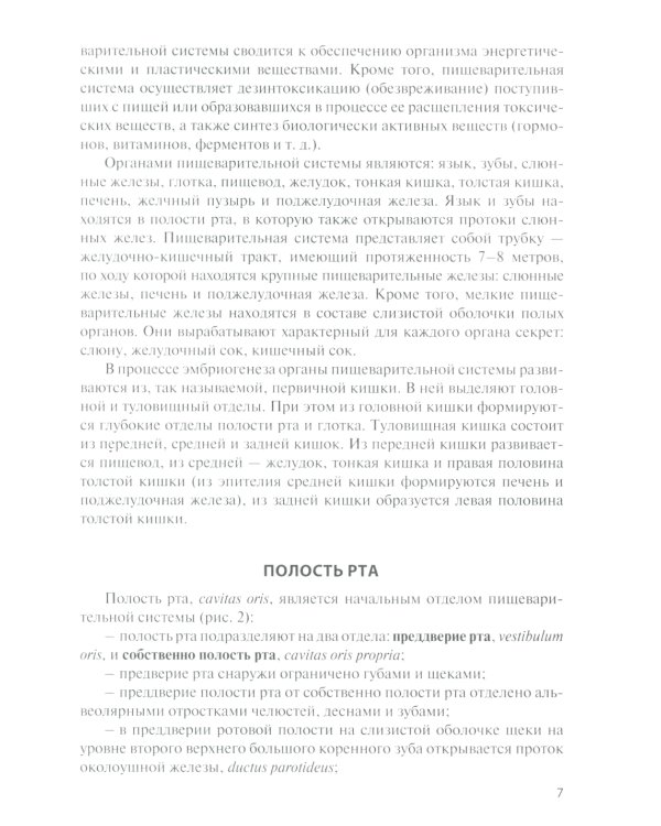 Функциональная анатомия органов пищеварительной системы (строение, кровоснабжение, иннервация, лимфоотток): Учебное пособие. 13-е изд., перераб. и доп