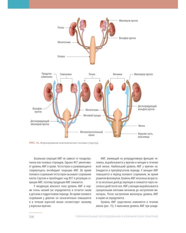 Гормональные исследования в клинической практике. Руководство
