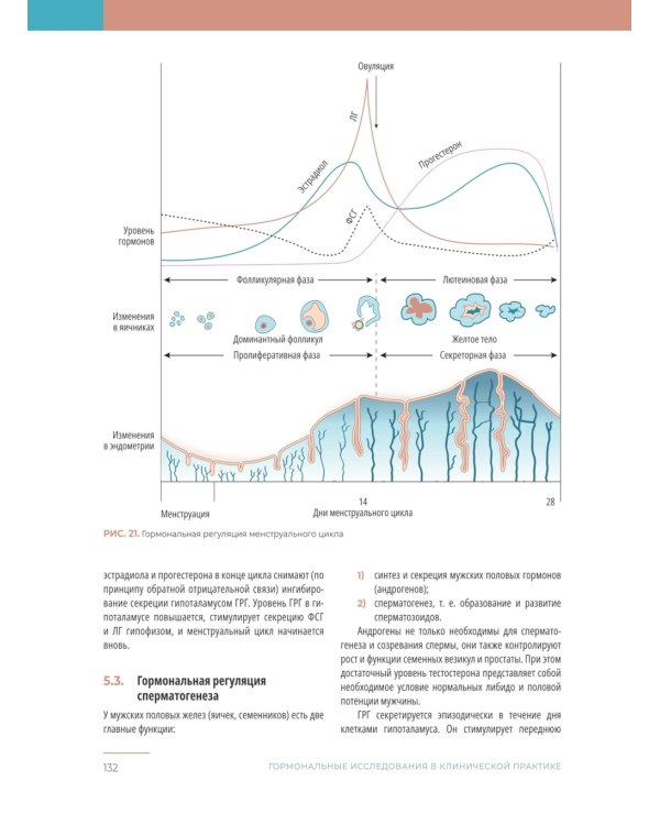 Гормональные исследования в клинической практике. Руководство
