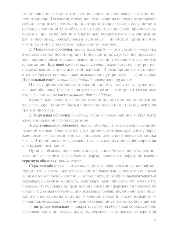 Функциональная анатомия органов пищеварительной системы (строение, кровоснабжение, иннервация, лимфоотток): Учебное пособие. 13-е изд., перераб. и доп