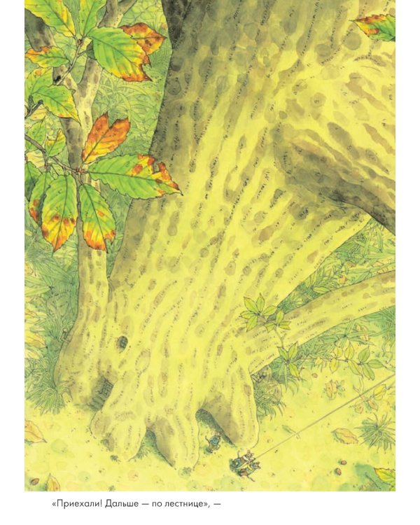 14 лесных мышей. Ужин с луной