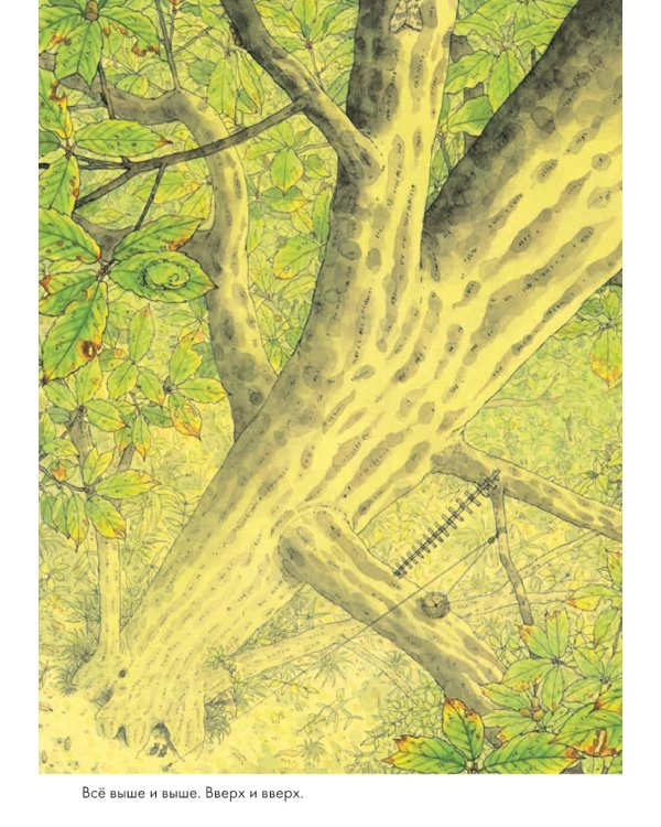 14 лесных мышей. Ужин с луной