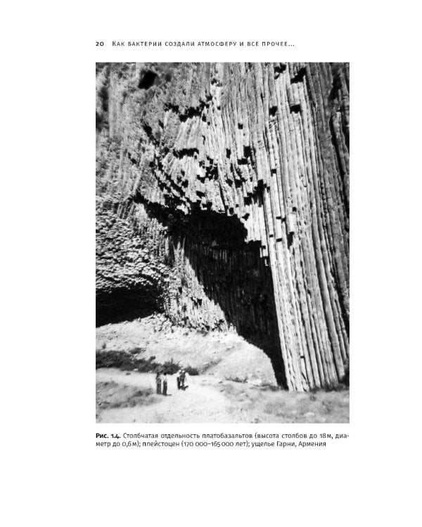 Сотворение Земли: Как живые организмы создали наш мир