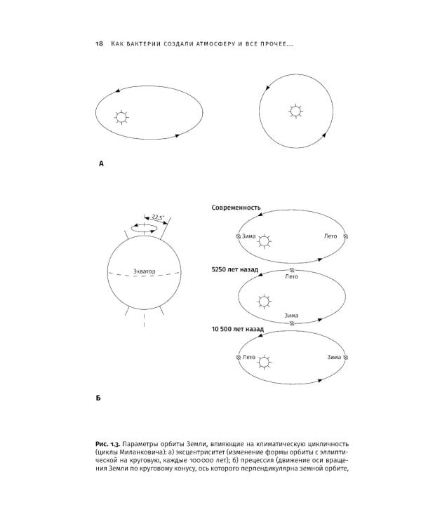 Сотворение Земли: Как живые организмы создали наш мир
