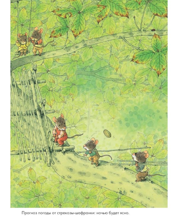 14 лесных мышей. Ужин с луной