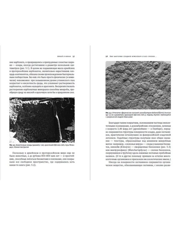 Сотворение Земли: Как живые организмы создали наш мир