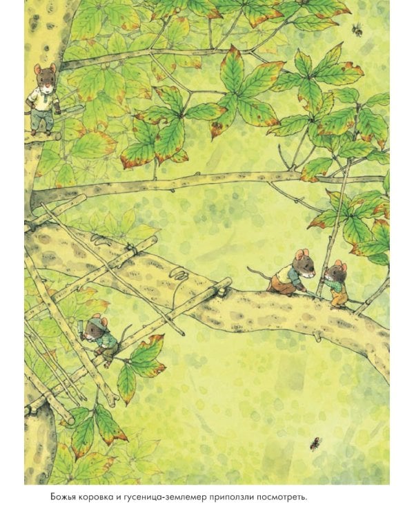 14 лесных мышей. Ужин с луной