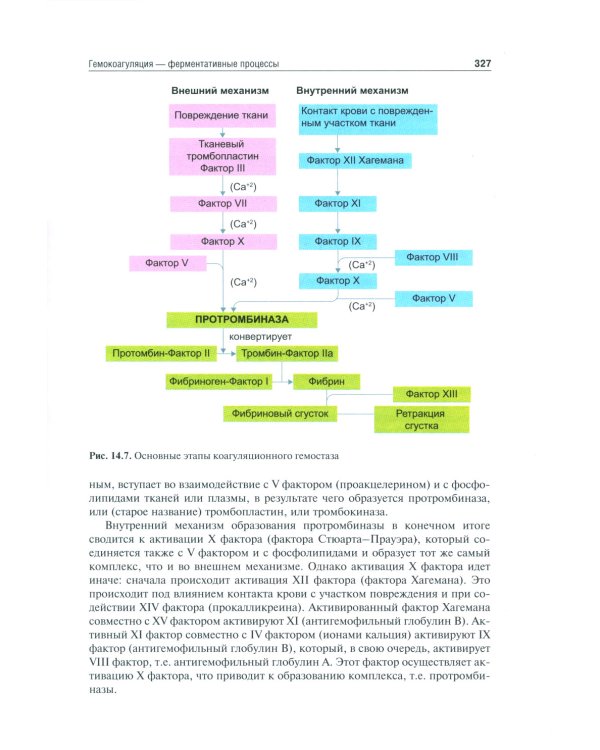 Нормальная физиология: Учебник
