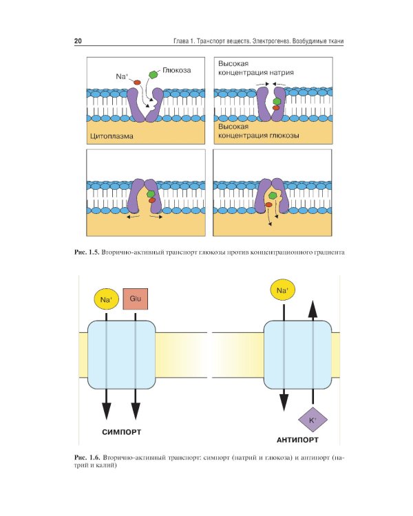Нормальная физиология: Учебник