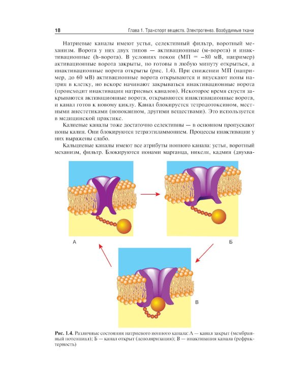 Нормальная физиология: Учебник