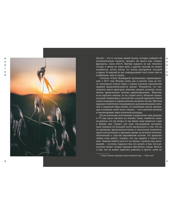 Японизм. Маленькая книга японской жизненной мудрости