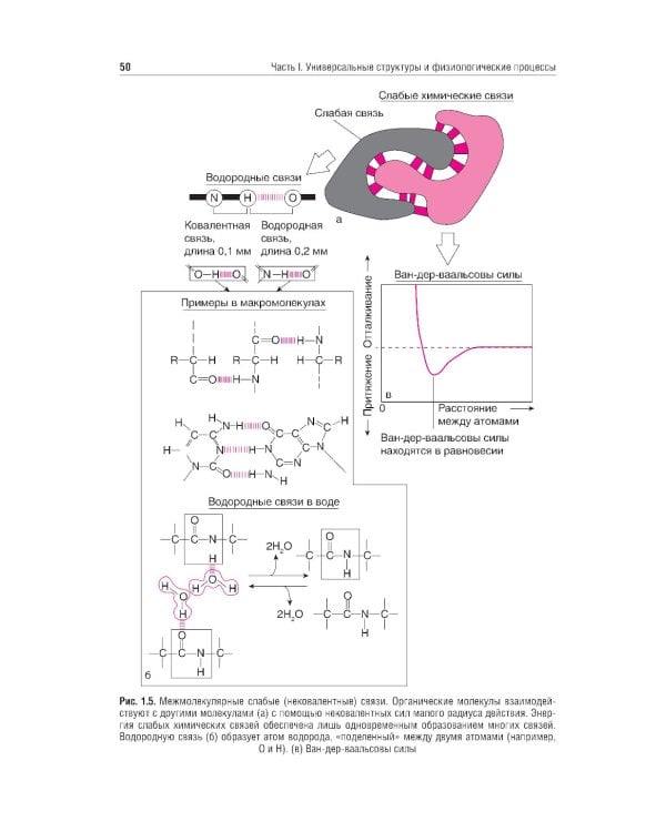 Нормальная физиология: учебник: В 2 т.  Т. 1