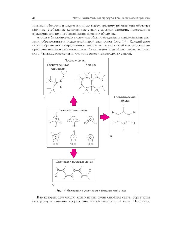 Нормальная физиология: учебник: В 2 т.  Т. 1