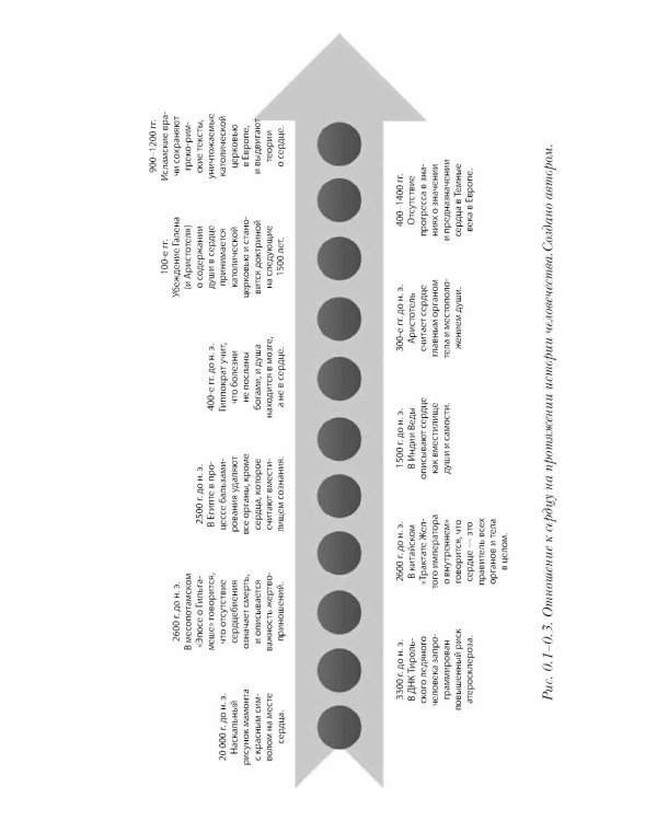 Прямо в сердце: как главный символ любви превратился в главный орган кровообращения