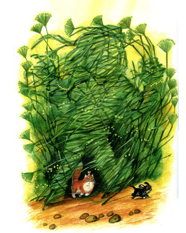 Лешик на Острове Страха: сказочная повесть