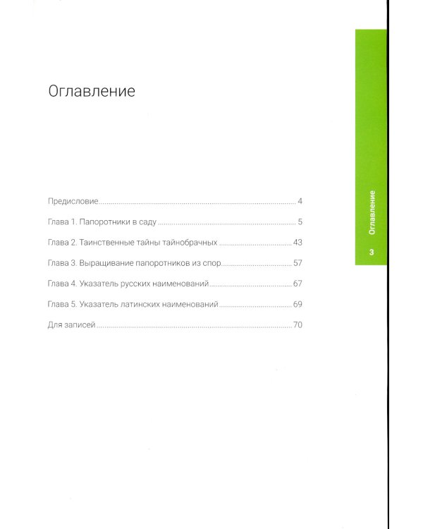 Папоротники в саду