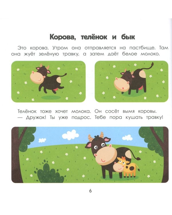 Деревня. Энциклопедия для малышей в картинках