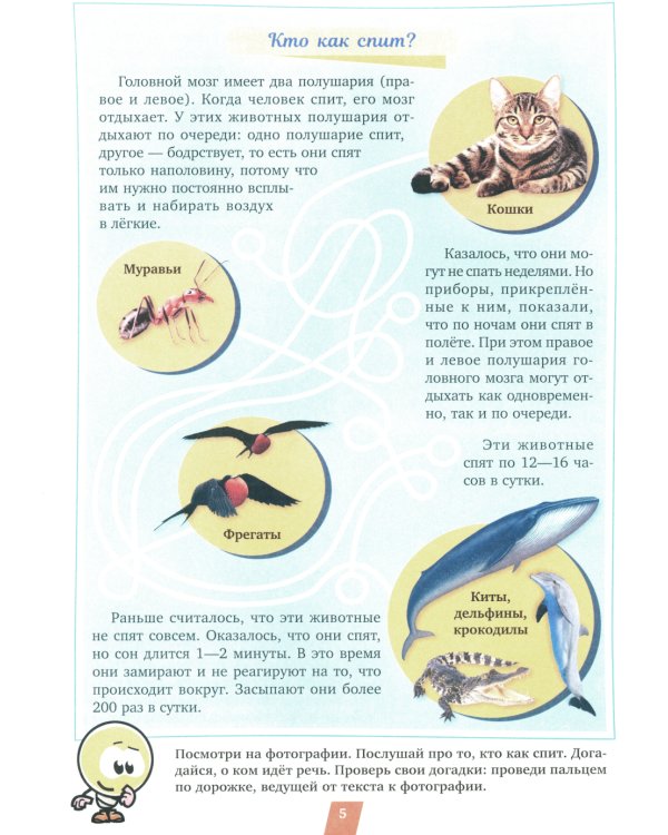 Стихи для Почемучек про организмы с доступными объяснениями удивительных возможностей живой природы