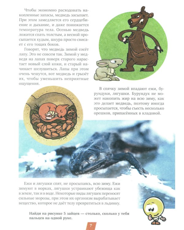 Стихи для Почемучек про организмы с доступными объяснениями удивительных возможностей живой природы