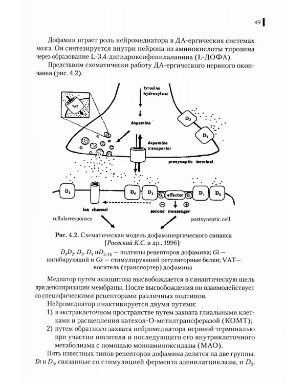 Нейрофизиология. Основы курса: Учебное пособие