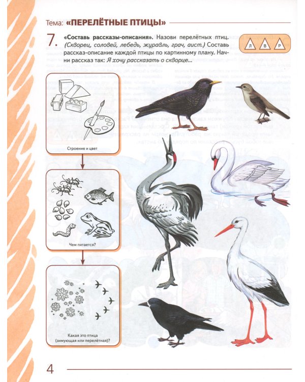 Развиваем связную речь у детей 5-6 лет с ОНР. Альбом 2. Мир животных