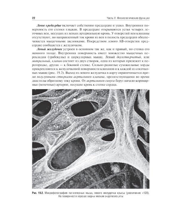 Нормальная физиология: учебник: В 2 т. Т. 2