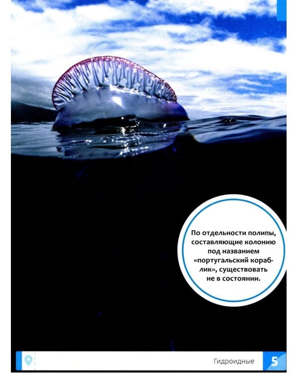 Необычные животные: энциклопедия