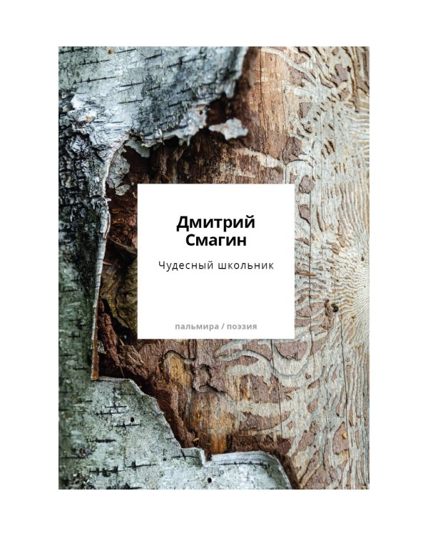 Чудесный школьник: сборник стихотворений