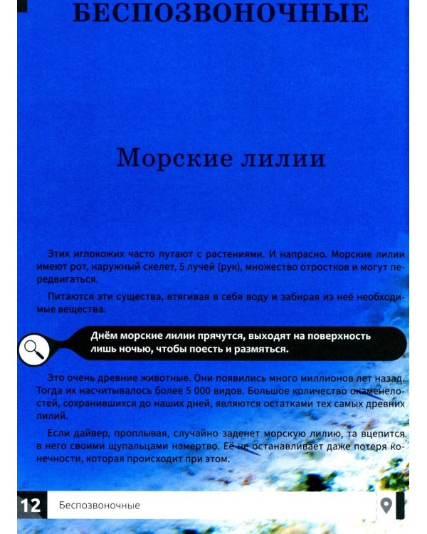 Необычные животные: энциклопедия