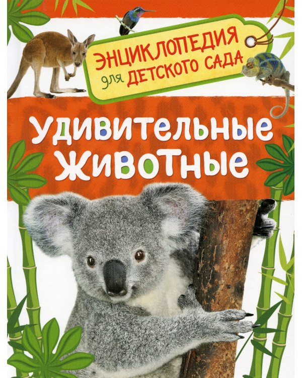 Удивительные животные