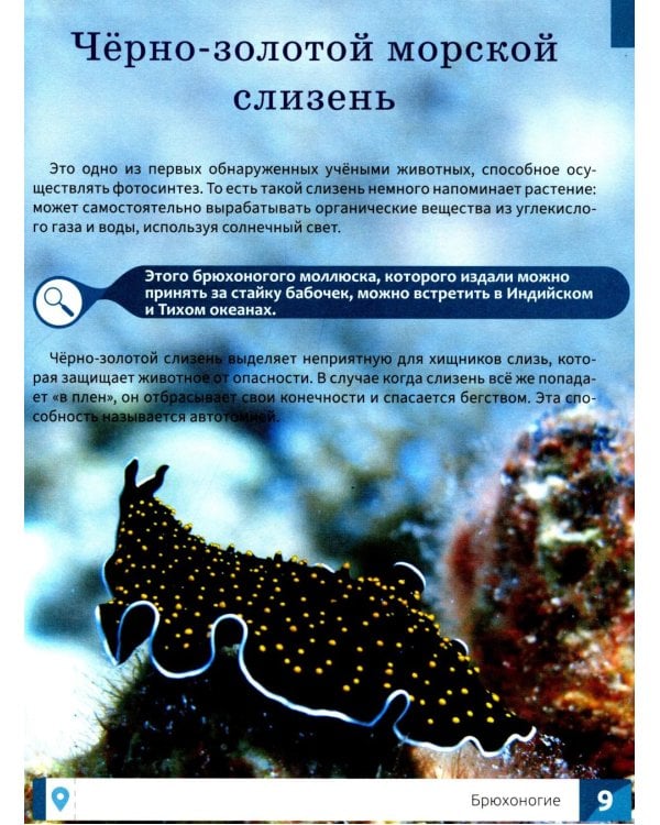 Необычные животные: энциклопедия