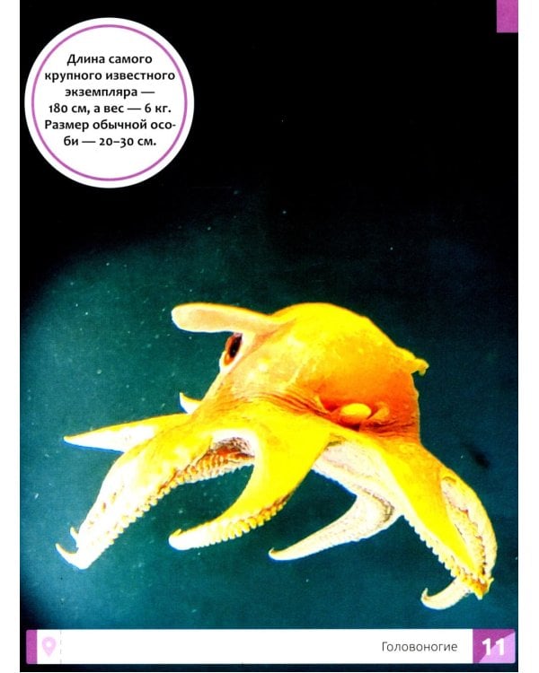 Необычные животные: энциклопедия