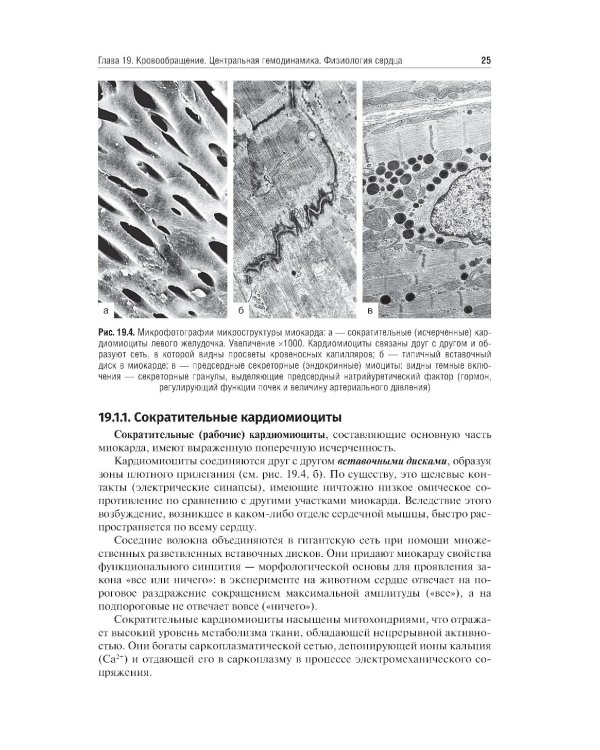 Нормальная физиология: учебник: В 2 т. Т. 2
