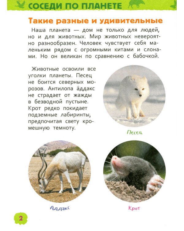 Удивительные животные