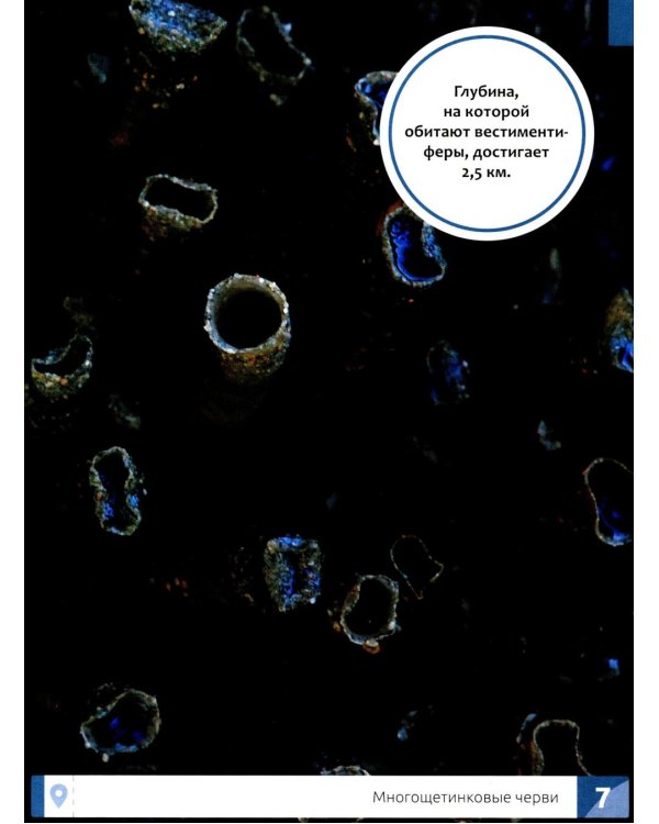 Необычные животные: энциклопедия