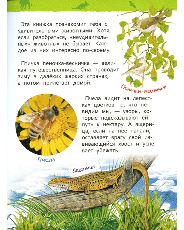 Удивительные животные