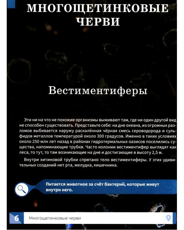 Необычные животные: энциклопедия