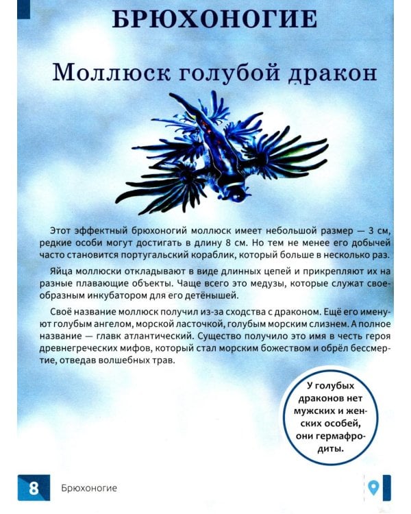 Необычные животные: энциклопедия