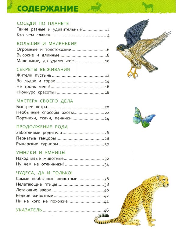 Удивительные животные